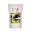 GAL Sertéskollagén peptidek 300g